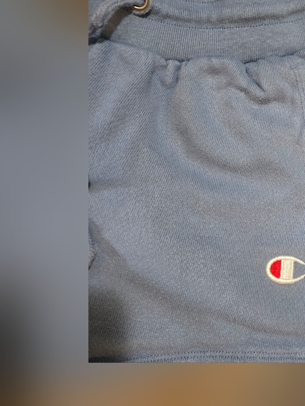 Champion Light Blue Athletic Shorts - Picture 2 of 15